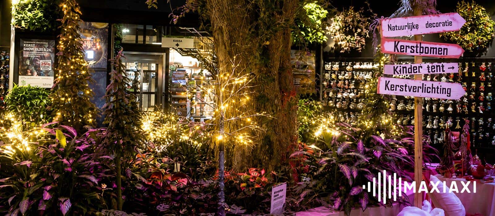 Kerstmagie en BeamZ verlichting: een schitterende combinatie bij Intratuin Deventer
