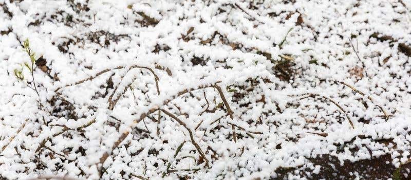 Hoelang blijft de sneeuw liggen?