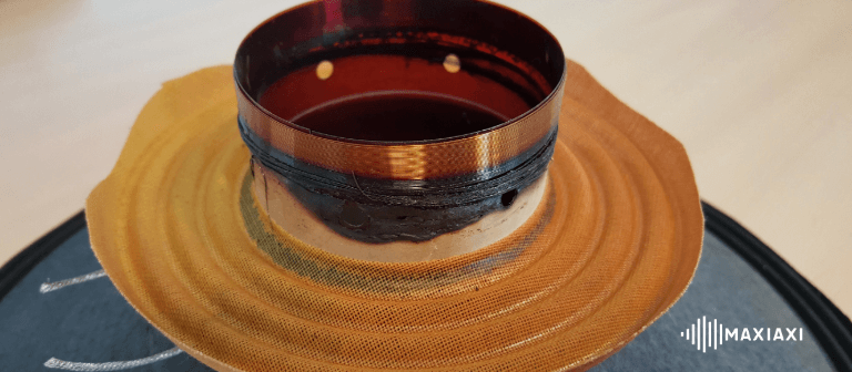 Heb ik mijn speaker opgeblazen?