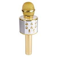 MAX karaoke microfoons