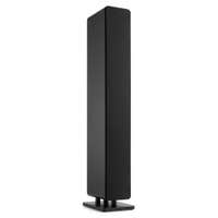 Audizio Arco passieve HiFi speaker - Vloerstaande speaker met 3x 4 inch woofers - 160W - Zwart