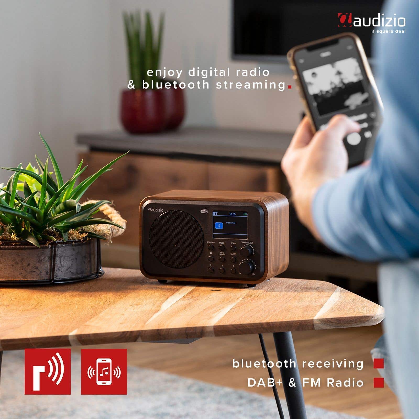 ALANO FM/DAB Radio/Bluetooth/AUX IN tragbares Farb-Dab-Radio aus Holz mit 2.4 TFT-Farbdisplay und Dual-Weckmodus, dab Radio mit Retro-Design für Garten und Küche