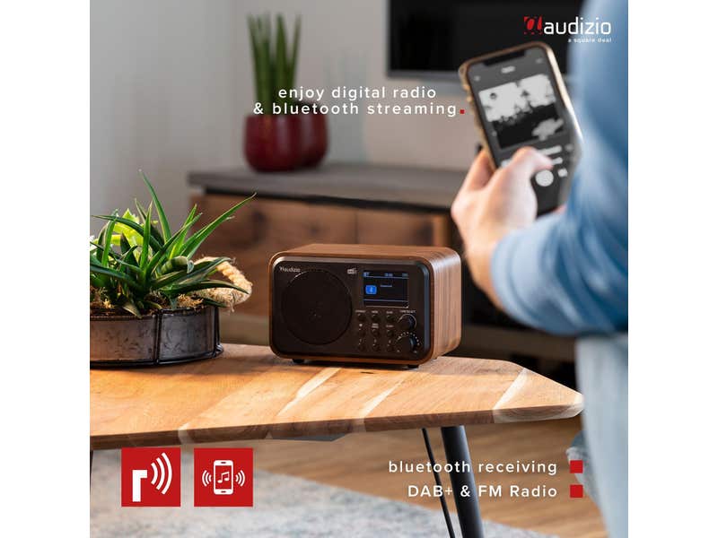 ALANO FM/DAB Radio/Bluetooth/AUX IN tragbares Farb-Dab-Radio aus Holz mit 2.4 TFT-Farbdisplay und Dual-Weckmodus, dab Radio mit Retro-Design für Garten und Küche ALANO FM/DAB Radio/Bluetooth/AUX IN tragbares Farb-Dab-Radio aus Holz mit 2.4 TFT-Farbdisplay und Dual-Weckmodus, dab Radio mit Retro-Design für Garten und Küche