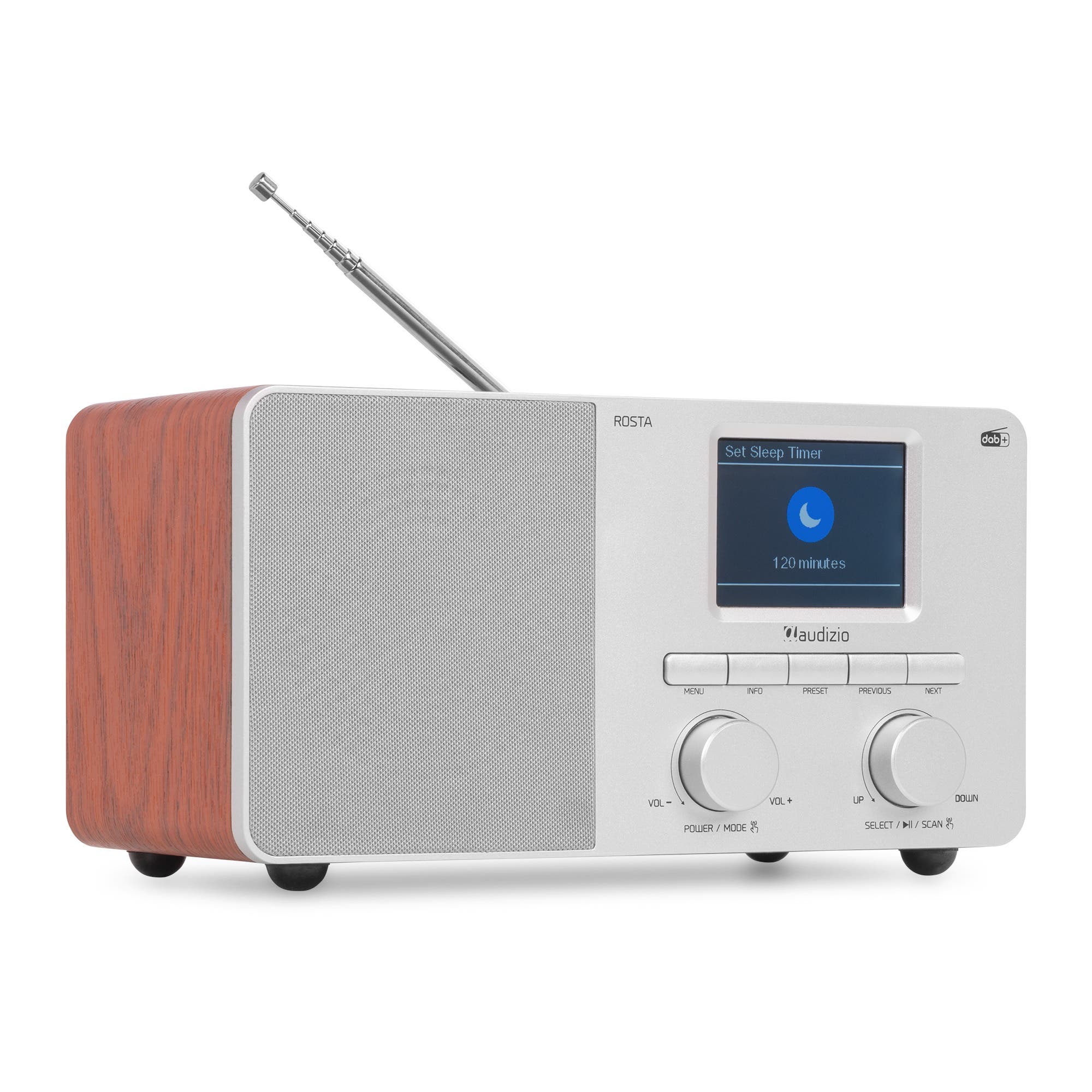 Audizio Rosta DAB radio - Digitale radio met Bluetooth - 40W - Zilver