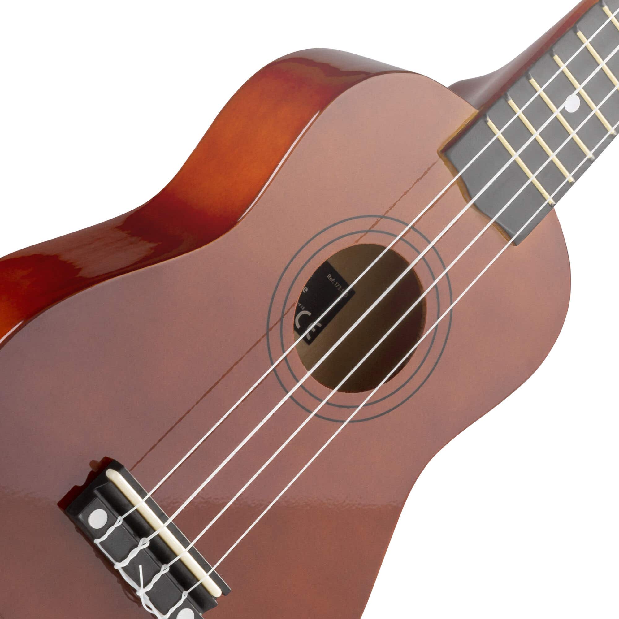 MAX UKEY Ukelele set met 21