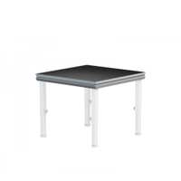 Power Dynamics Deck750 1x1m podiumdeel