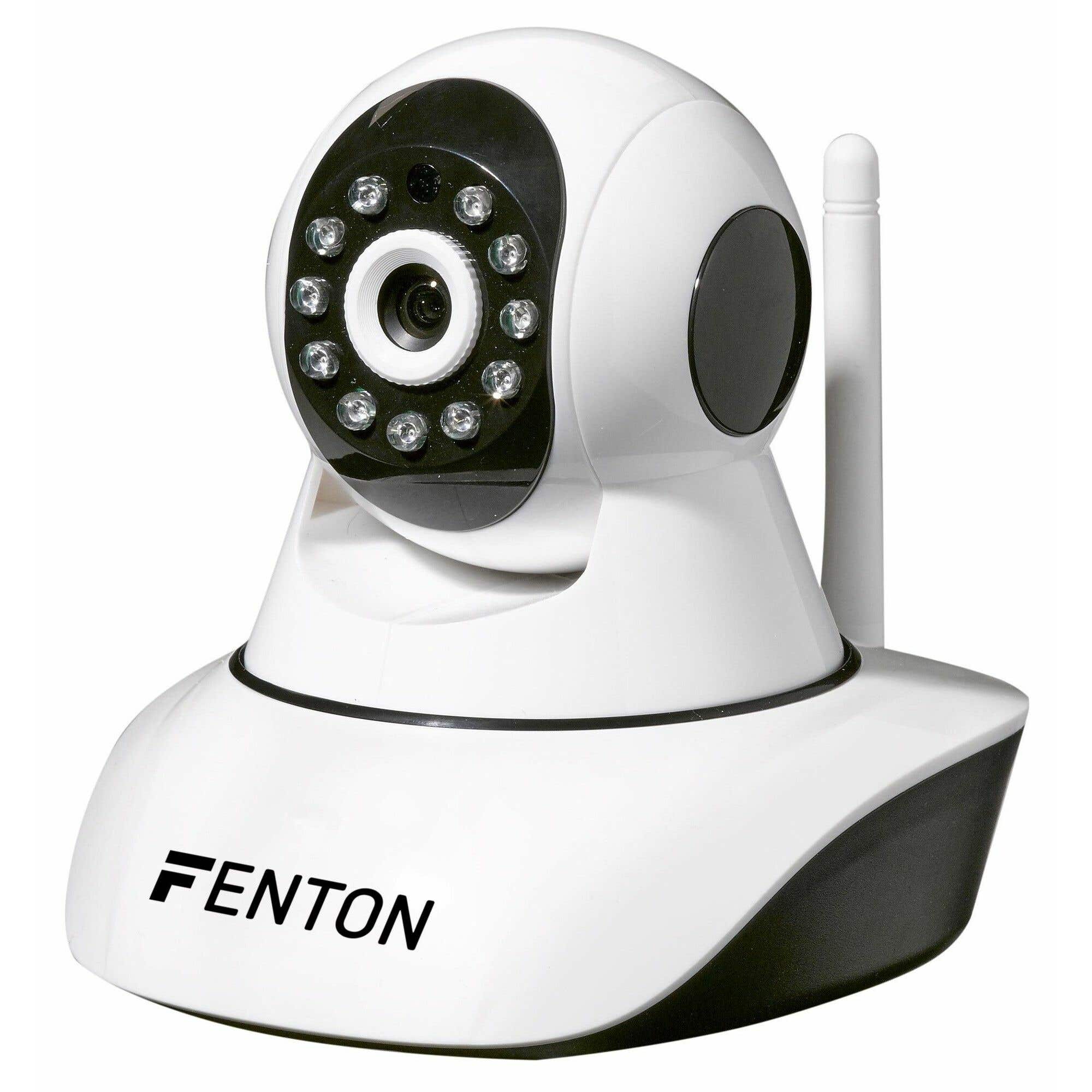 Haarvaten Verrast contant geld Fenton HD IP camera met IR LED's en beweging pan/tilt kopen?