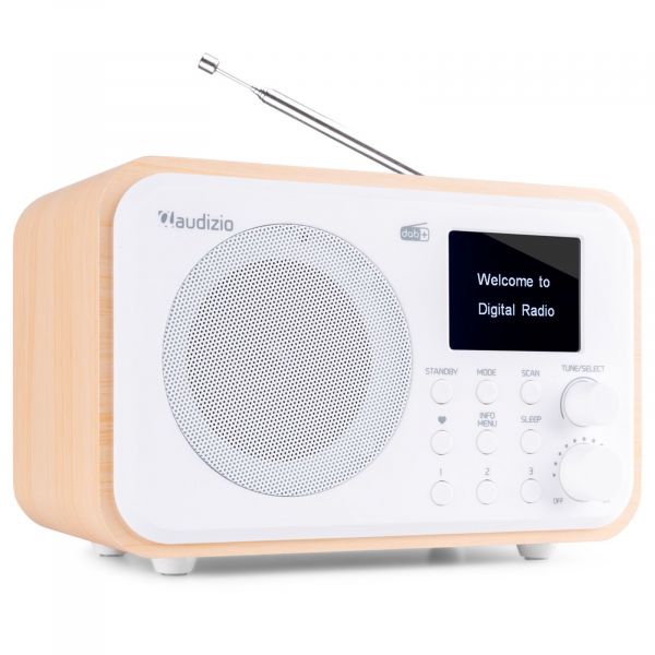 geestelijke De slaapkamer schoonmaken groep Audizio Milan draagbare DAB radio met Bluetooth, FM radio en accu - Wit  kopen?