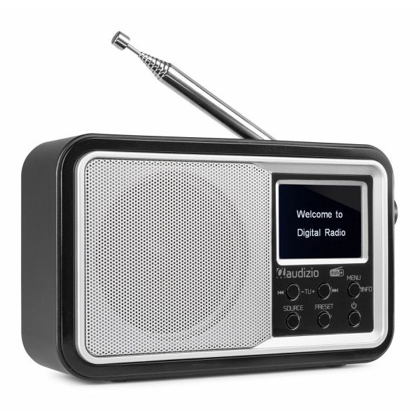 Makkelijk te gebeuren aangenaam Bezet Audizio Parma draagbare DAB radio met Bluetooth en FM radio - Zilver kopen?
