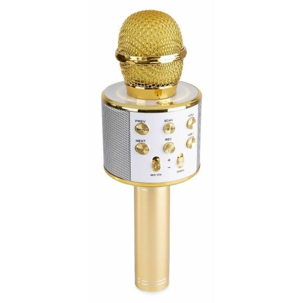 Het kantoor Impressionisme Doorweekt MAX KM01 Karaoke microfoon met speaker, Bluetooth & mp3 - Goud kopen?