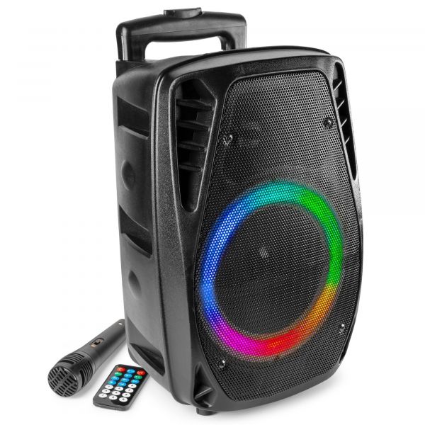 Tirannie Er is een trend dok Fenton FT8LED-MK2 accu speaker met Bluetooth - 300W kopen?