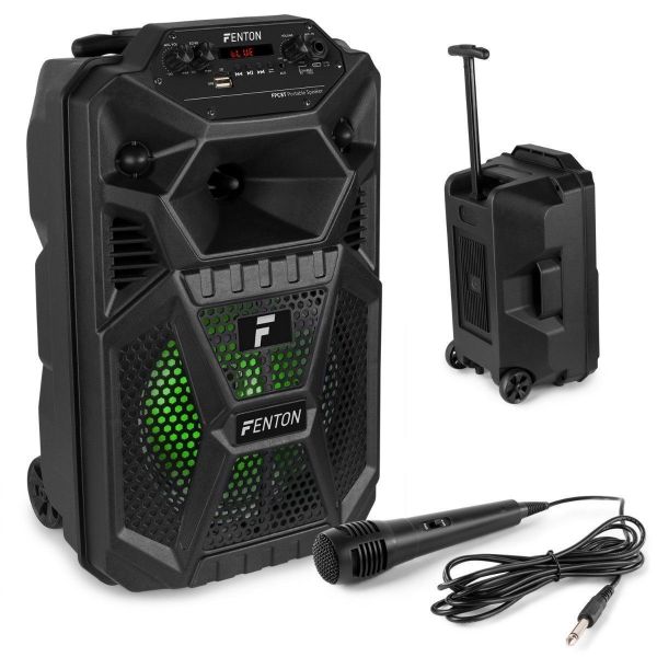 Kenia Retoucheren pit Fenton FPC8T accu speaker 100W met Bluetooth, microfoon en LED verlichting  kopen?