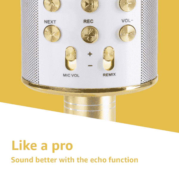 Echo-functie