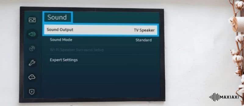 Kies het juiste uitvoerapparaat op je televisie