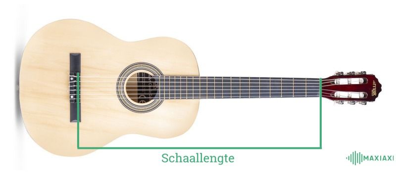 Ramkoers Isoleren analoog Ukelele vs gitaar: wat zijn de verschillen?