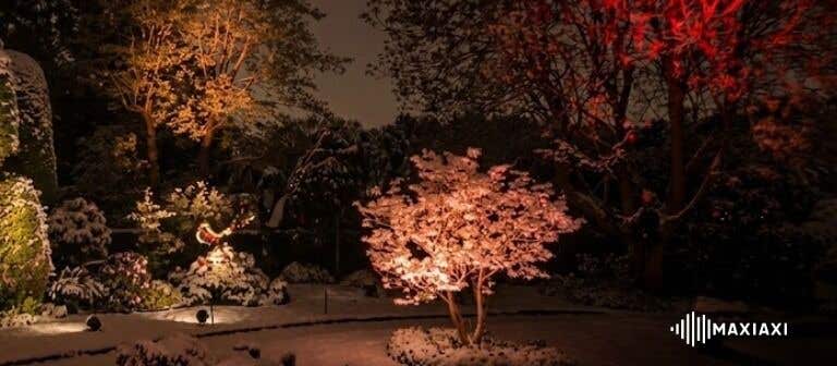 Verschneiter Garten mit farbig angestrahlten Bäumen – dekorative Außenbeleuchtung mit Uplights als Weihnachtslicht-Alternative