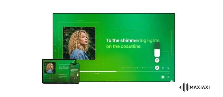 Karaoke über Spotify auf dem Desktop und Handy