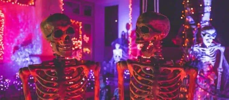 Halloween-Dekorationen: Skelette, Kürbisse und Spinnweben. Mit MaxiAxi.de können Sie Ihre Halloween-Party richtig feiern!